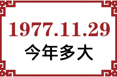 19771129ճ