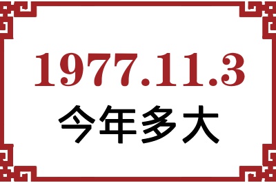 1977113ճ