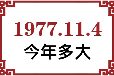 1977114ճ