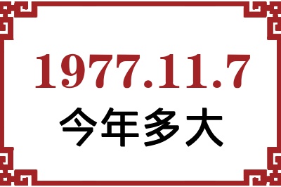 1977117ճ