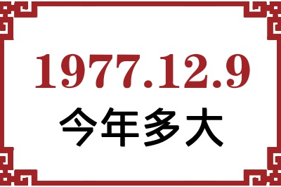 1977129ճ