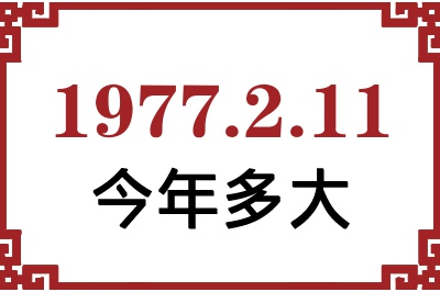 1977211ճ
