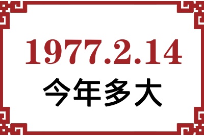 1977214ճ