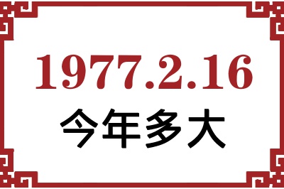 1977216ճ