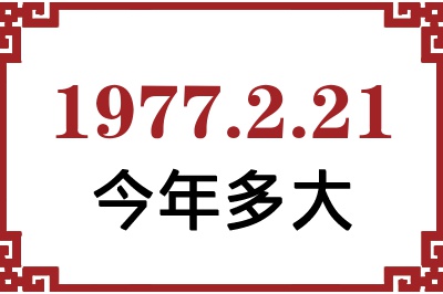 1977221ճ
