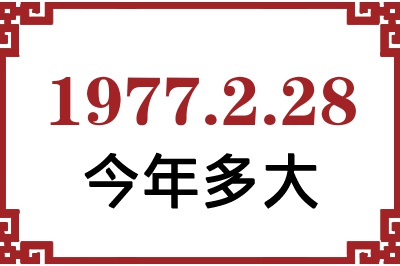 1977228ճ