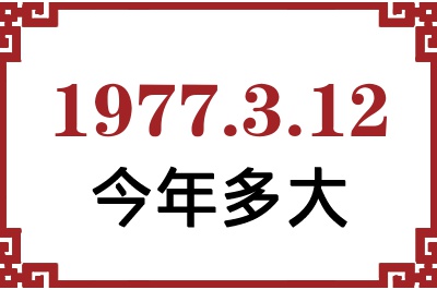 1977312ճ