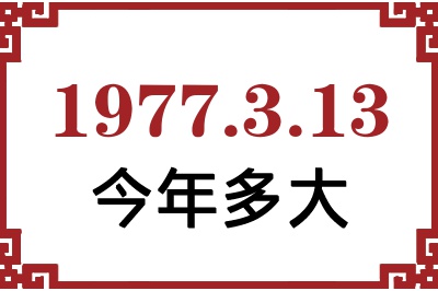 1977313ճ