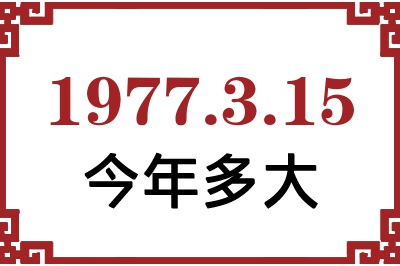 1977315ճ