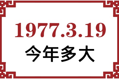1977319ճ