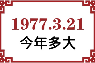 1977321ճ