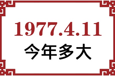 1977411ճ