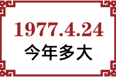 1977424ճ