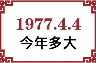 197744ճ