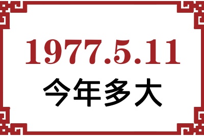 1977511ճ
