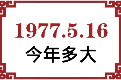 1977516ճ