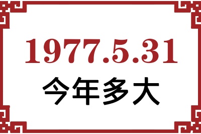 1977531ճ