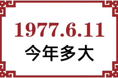 1977611ճ