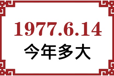 1977614ճ