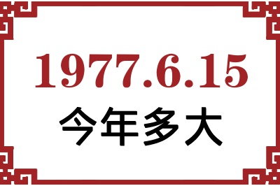 1977615ճ
