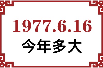 1977616ճ