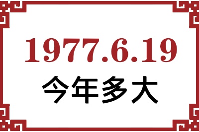 1977619ճ