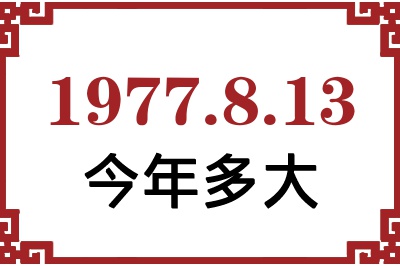 1977813ճ