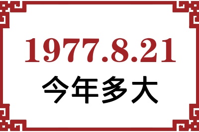 1977821ճ