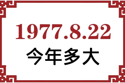 1977822ճ