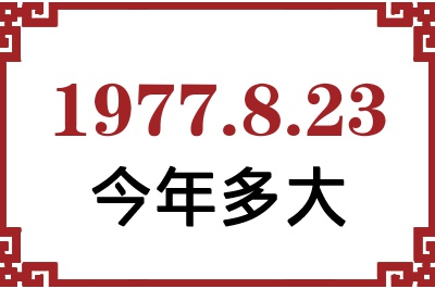 1977823ճ