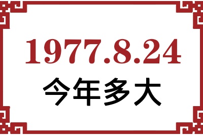 1977824ճ