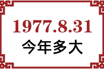 1977831ճ
