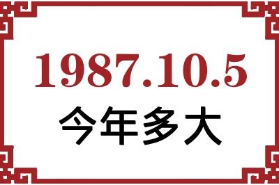1987105ճ