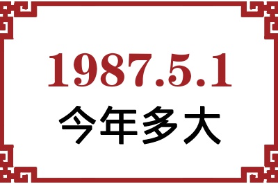 198751ճ