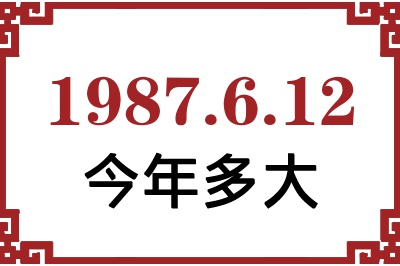 1987612ճ