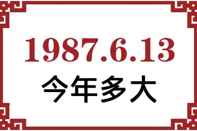 1987613ճ