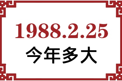 1988225ճ