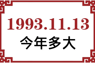 19931113ճ