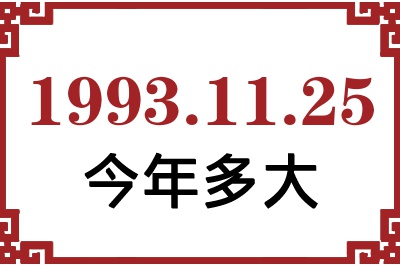 19931125ճ