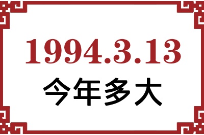1994313ճ
