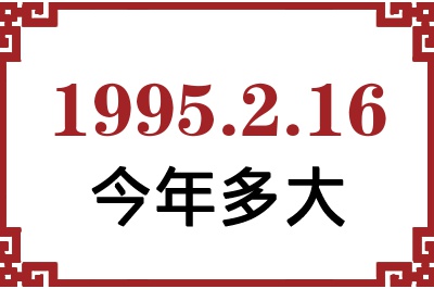 1995216ճ