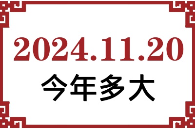 20241120ճ