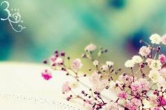 ɺһ(2025.10.20-10.26)