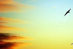 ����俽�������2026.4.23