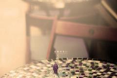 ��ɺ����һ����������(2026.2.9-2.15)