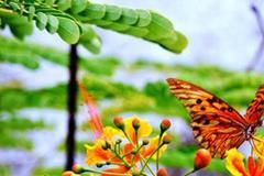 ����俽�������2026.4.24