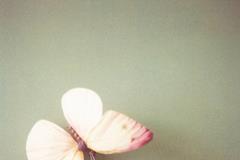 ����俽�������2026.4.21