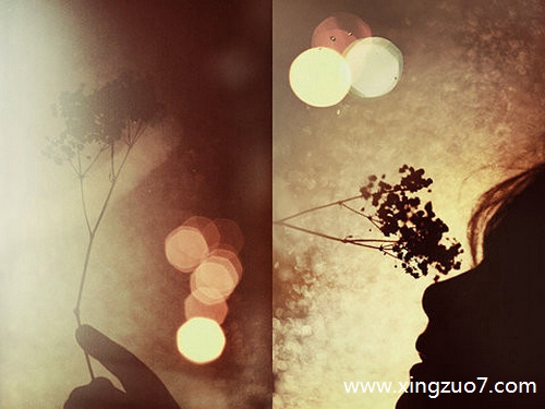 �����޽�������2025.2.202