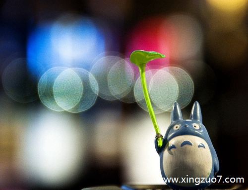 ȵǽ2022.12.284