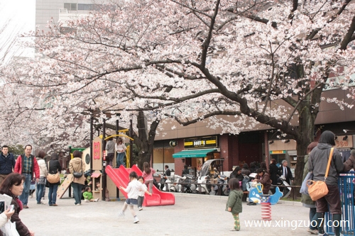 �귨���������2026.4.234